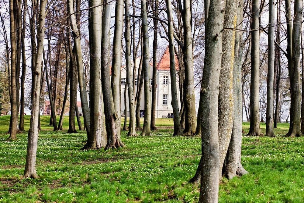 Zespol Palacowy Pacoltowo Na Wylacznosc Exterior photo